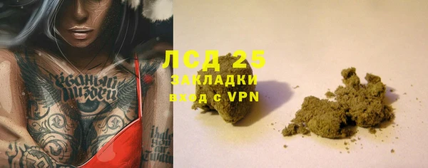 шишки Магас