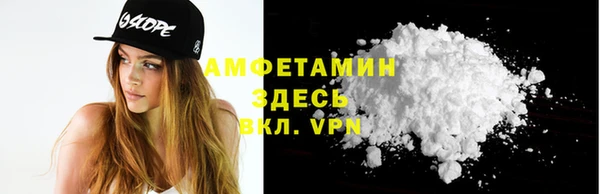 шишки Новоузенск