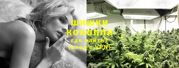 ПСИЛОЦИБИНОВЫЕ ГРИБЫ Алзамай